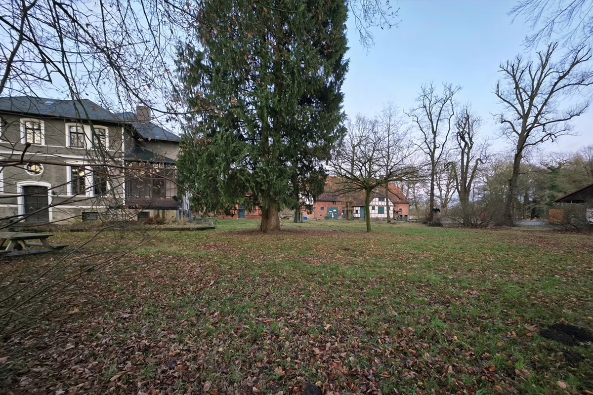 Park yard with a tall evergreen tree center, leaf-covered ground, and brick and stucco buildings in the background.
