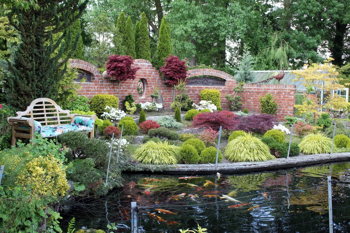 Koi pond with colorful fish, surrounded by lush garden and a brick wall with decorative arches.