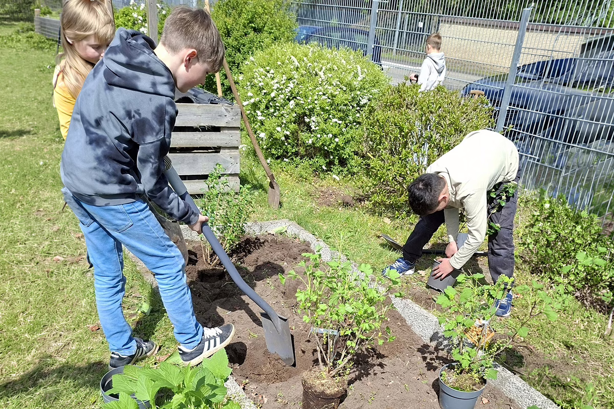 Children planting young shrubs in a garden bed with shovels and pots outdoors.