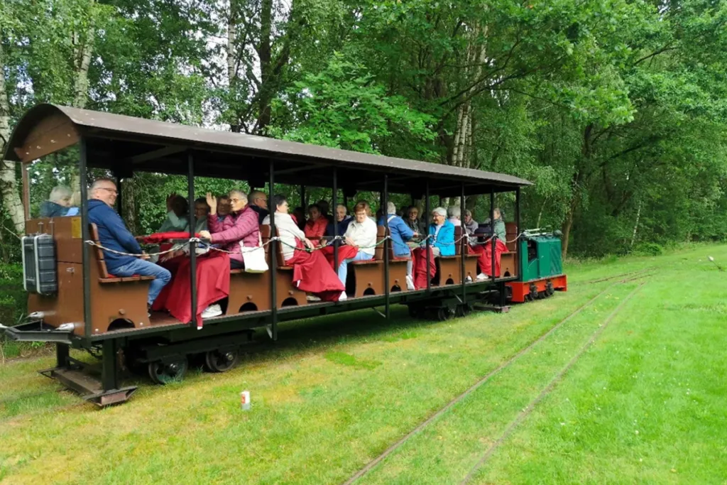 Open-sided passenger train carrying riders on a grassy track through a wooded area.