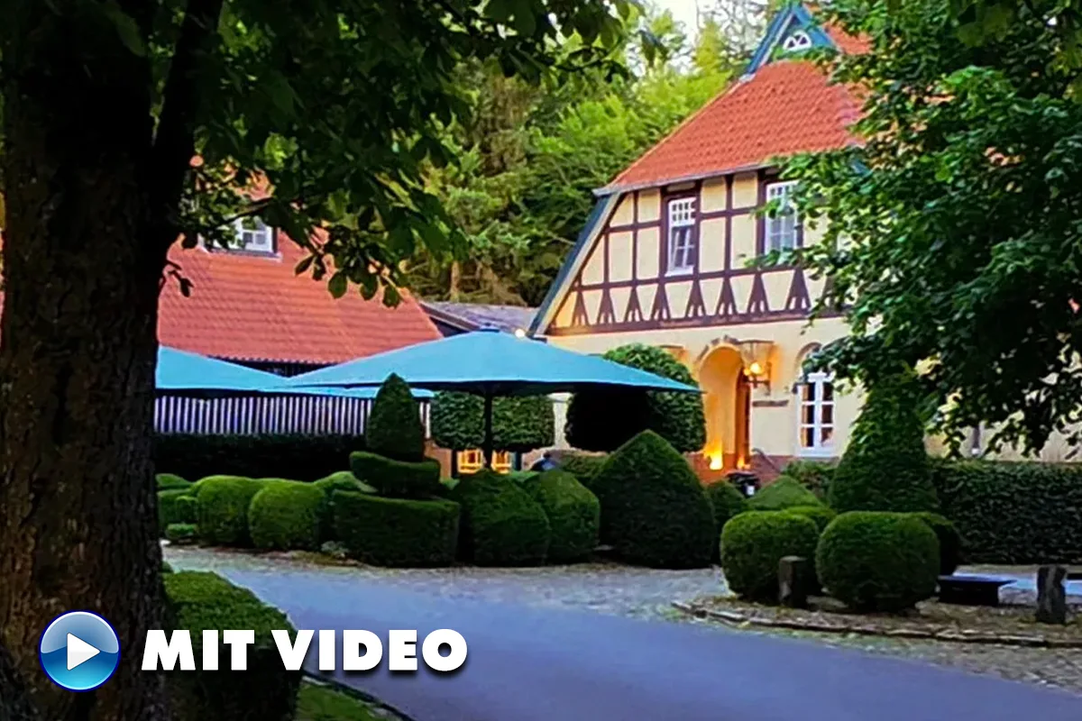 Timber-framed house with red roof, manicured hedges, and blue patio umbrellas in a garden setting. Note: concise, informative thumbnail description for a video image.