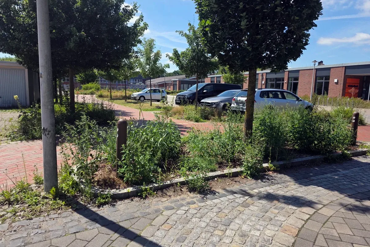 Urban sidewalk with an overgrown plant bed, trees, and parked cars along a street in front of a brick business building on a sunny day.