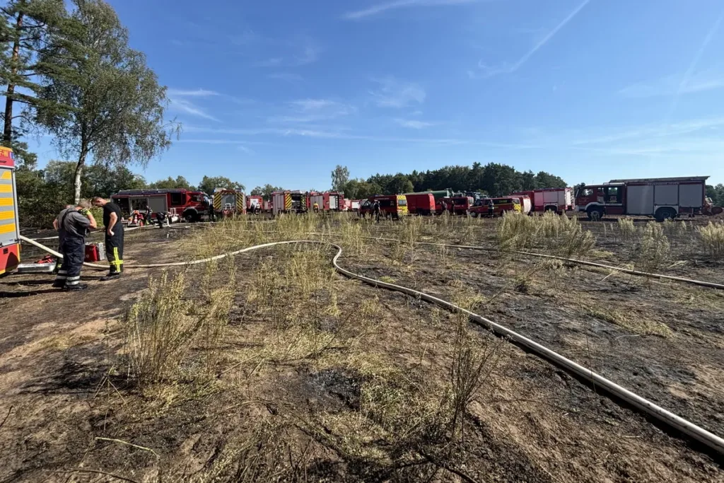 Firefighters and multiple fire engines line a burned field with hoses laid out on charred ground under a clear blue sky.