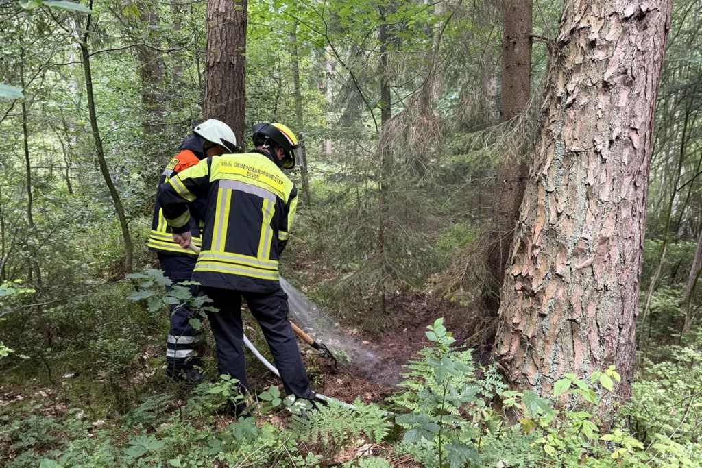 Firefighters in reflective jackets spraying water on a small ground fire in a wooded area.
