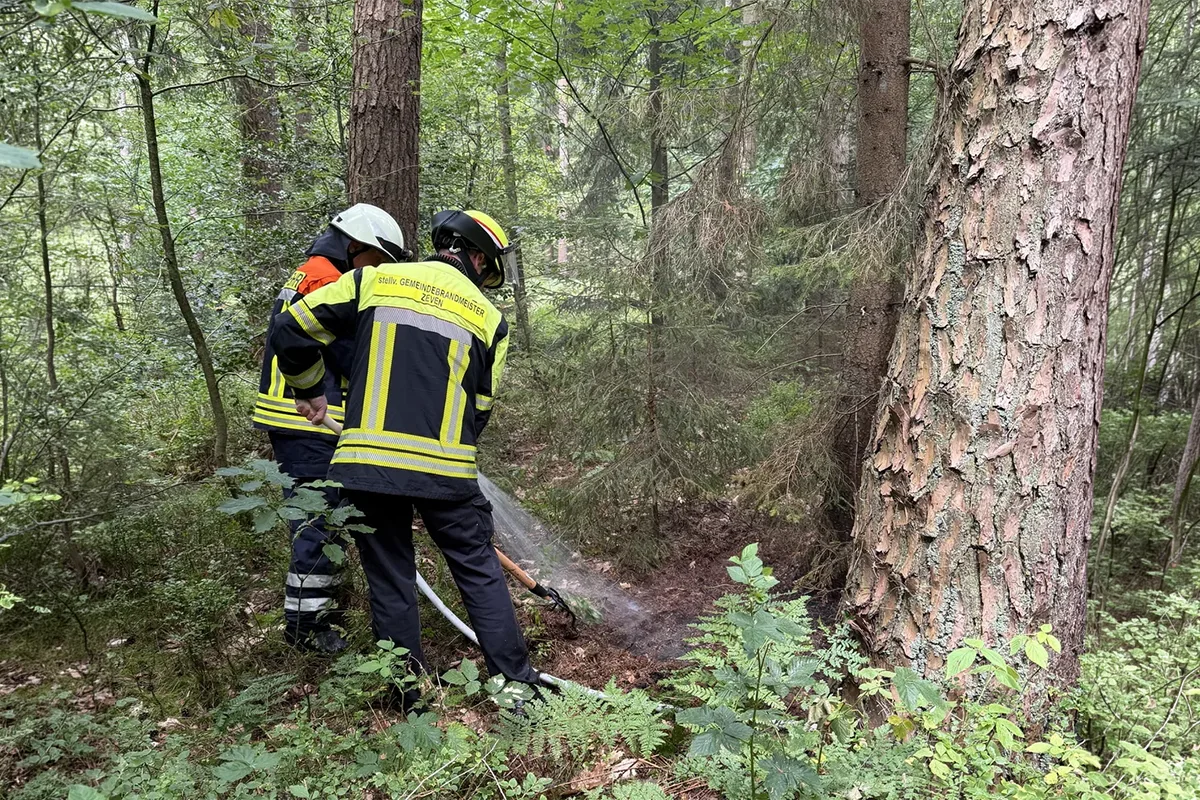Firefighters in reflective jackets spraying water on a small ground fire in a wooded area.