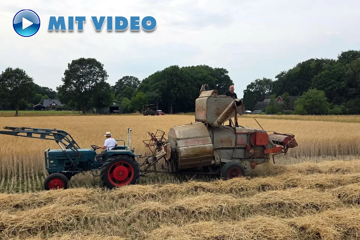 Blue tractor pulls a rusted combine harvester through a golden wheat field, with a man operating the machinery and the MIT VIDEO logo in the top-left.